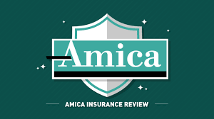 Service is available to auto customers with towing and labor coverage. Amica Insurance Review 2021 Home Auto Life Pro Insurance Reviews