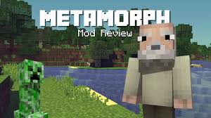 This is due to a minecraft rendering bug. Metamorph Mod Mchorse