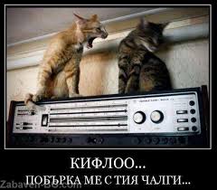 images?q=tbn:ANd9GcQQCFyaHICxdSugqIh7WK-