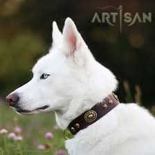 As a new husky owner i tried out a range of collars. Fdt Artisan Collar Perfect Present For Titan Siberian Husky C272l1073 Decorated Brown Leather Dog Collar Dog Supplies