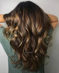 This is one of the more popular shades of brown hair color right now. 60 Hairstyles Featuring Dark Brown Hair With Highlights