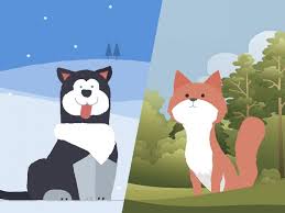 Animated Animals In Css And Svg Idevie Animated Animals Animate Css Svg Animation