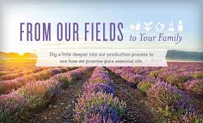Young living's oils have been transformational in our lives and health. Young Living Essential Oil Celebrity News
