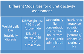 Image result for Loop Diuretic