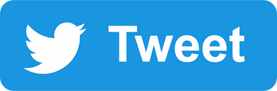 Alors on se met à parier que si si, on est laaargement capable de faire le poirier sans tomber. Que Faire Quand Un Ami A Trop Bu Alcool Info Service