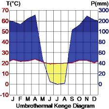 Image result for Dewevrella cochliostema