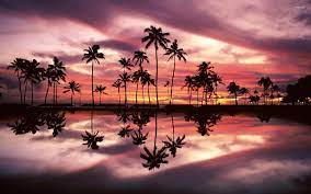 Posted by neva riyadie posted on november 10, 2019 with no comments. Free Download Beautiful Sunset Sky Behind The Palm Trees By The Ocean Wallpaper 1920x1200 For Your Desktop Mobile Tablet Explore 34 Beautiful Ocean Sunset Wallpaper Beautiful Ocean Sunset Wallpaper