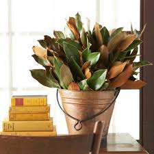 If you're reading bookends and thinking about a dusty old study, shake that image out of your mind. Decorating For The Season With Magnolia Leaves Driven By Decor