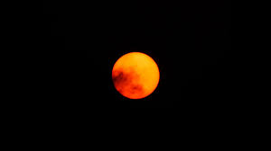 How will the new moon in capricorn impact the rest of your year? Fnie7xkjp9tfqm
