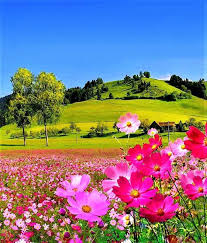 Image May Contain Sky Flower Nature And Outdoor Beautiful Photos Of Nature Beautiful Nature Pictures Beautiful Places Nature