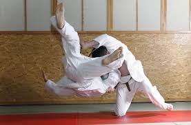 Judo Martial Arts Japan Travel Guide Japan Hoppers