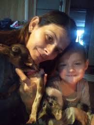 Lost small terrier type dog near McIntosh school