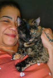 Cat provides emotional support and comfort