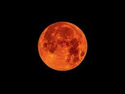 Four lunar eclipses will appear across earth's skies in 2020. Watching The Super Blood Wolf Moon What To Know About This Lunar Phenomenon Wired