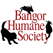 Browse the list below, which also includes pet friendly motels, bed and breakfasts, inns, and cabins & cottages. Bangor Humane Society Home Facebook