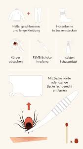 Mittel gegen zecken hausmittel gegen zecken zecke entsorgen: Zeckenstich Bei Kindern Nur Selten Ein Notfall Ksb Blog