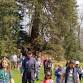 Arbor Day Festival and Bristol Community Day