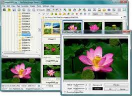 Faststone Image Viewer V7 5 المجاني In 2020 Free Photo Editing Software Photo Editing Software Photo Viewer