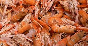 Epingle Sur Italien