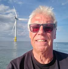 Hi what should I do with my strawberry plants they look finished I only put  them in the ground this year ? Thanks