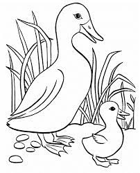 See other great coloring books for kids, just click the author name salmon sally. Small Duck With Big Eyes Coloring Pages For Kids Clk Printable Ducks Coloring Pages For Kids Coloring Pages Baby Coloring Pages Painted Wood Crafts