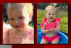 Pit bulls playing in flooded yard