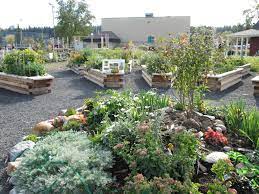 Parkdale Community Garden And Gathering Space Parkdale Community Association