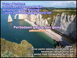 We did not find results for: Perbedaan Gaung Dan Gema Beserta Contohnya Pak Mono