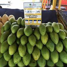 Tapi, tahukah kamu ternyata mangga memiliki beragam jenis? Cara Kenal Jenis Jenis Buah Mangga Yang Popular Dan Laris Di Malaysia