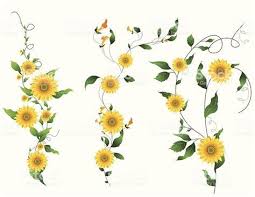 Sunflower Drawing Vine Vineideas Vine Ideas Vine Drawing Sunflower Drawing Sunflower Pictures