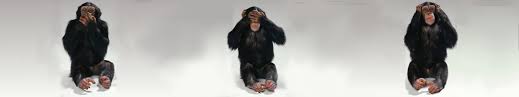 three wise monkeys wallpapers hd desktop and mobile backgrounds three wise monkeys wallpapers hd