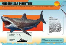Shark, as well as the 2nd largest and most powerful !! Monster Sharks Megalodon And Other Giant Prehistoric Predators Of The Deep By Brenda Gurr
