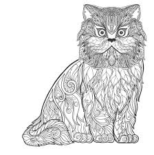 Maybe you would like to learn more about one of these? 34 Hits Sketsa Gambar Kucing Anggora Terbaru Paperbola