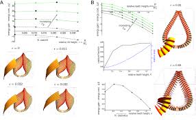 Mechanics reveals the role of peristome geometry in prey capture in  carnivorous pitcher plants (Nepenthes)
