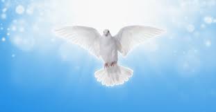 In christian antiquity the dove appears as a symbol and as a eucharistic vessel. Why Is The Dove Often A Symbol For The Holy Spirit
