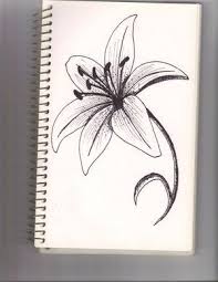 They Are More Beautiful Than Roses Star Gazer Lilies Look Like Fire Flower Drawing Drawings Art Drawings