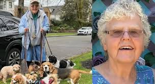 Madison Park Dog Walker carjacking murder: Jahmed Kamal Haynes charged with  carjacking and dragging 80 year-old dog walker Ruth Dalton to her death,  then her dog was found stabbed to death |