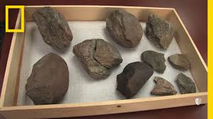 These weapons were created and the atlatl, another piercing weapon, is a tool used to throw spears with accuracy. Oldest Known Stone Tools Discovered 3 3 Million Years Old National Geographic Youtube
