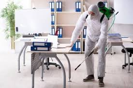 Download Professional Contractor Doing Pest Control At Office Stock Image Best Mosquito Control Pest Control Services Pest Control