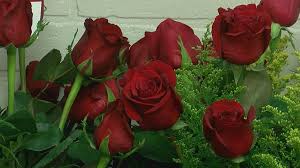 6,809 likes · 119 talking about this · 581 were here. Flower Shops Preparing For Valentine S Day Amid Pandemic