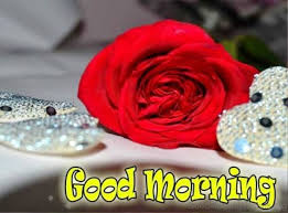 Check spelling or type a new query. 92 Good Morning Wishes With Rose