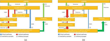 The etiology of pd is mostly unknown, but it likely involves both genetic and environmental factors. Parkinson S Disease Rehabilitation Effectiveness Approaches And New Perspectives Intechopen