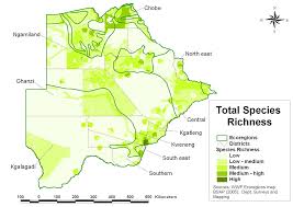 Image result for Sporobolus bechuanicus