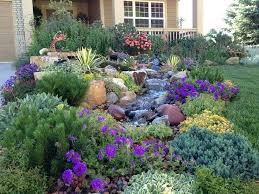 Image Result For Austin Xeriscaping Small Front Yard Landscaping Front Yard Landscaping Design Xeriscape Landscaping