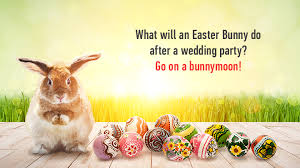 Follow the bunny, he has the chocolate! How To Wish Somebody A Happy Easter 2019 Updated