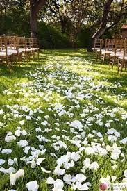 The Veranda San Antonio Tx Wedding Venue Wedding Venues Wedding Veranda