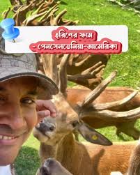 Halloran Farms Deer Farm