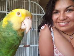 We just came back from back from beautiful Villas Alondra and I got a sweet  little friend!🤗