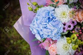 For a similar style bouquet of blooms, please check with our consultants directly on 1800 66 66 46 or sales@flowersforeveryone.com.au so they may advise on flower availability and a custom quote. Beautiful Blossoming Flower Bouquet Of Fresh Hydrangea Roses Stock Photo Picture And Royalty Free Image Image 128398857