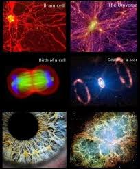 19 Cells Vs The Universe Coincidences Death Of A Star Science